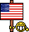 USA Flag 1